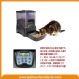 large-capacity automatic pet feeder